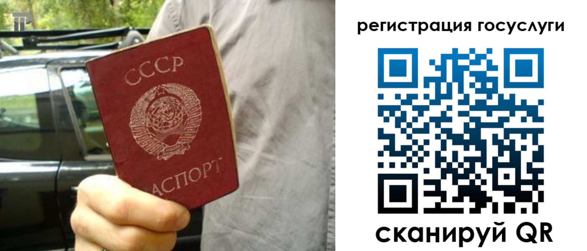прописка законно в Похвистнево